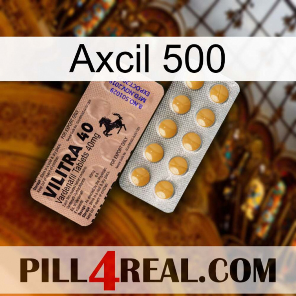 Axcil 500 41.jpg